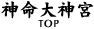 __{TOP